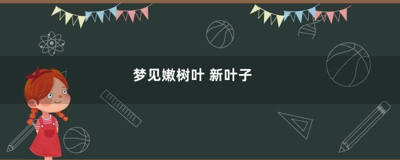 梦见嫩树叶 新叶子